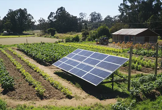 Placas solares instaladas em propriedade rural